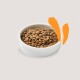 A white bowl filled with brown pet food kibble, accompanied by two orange brushstroke accents in the background.