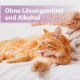 Rotgetigerte Katze putzt sich auf dem Bett mit herausgestreckter Zunge, gestrickte Decken im Hintergrund; Überlagerungstext: 'Ohne Lösungsmittel und Alkohol'.