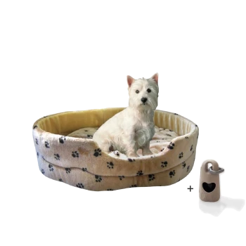 Ein kleiner weißer Hund sitzt in einem gemütlichen, runden Haustierbett mit Pfotenabdruckdesign, begleitet von einem beigen Haustierzubehör.
