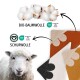 Baumwollkapseln und ein Schaf, die auf gewellte Ecken einer Haustierdecke zeigen; Text ‚BIO‑BAUMWOLLE‘, ‚SCHURWOLLE‘ und OEKO‑TEX‑Logos