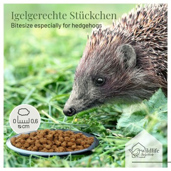 Igel schnuppert an einem Napf mit Kroketten auf dem Gras; Text: Igelgerechte Stückchen, Bitesize für Igel, 0,6 cm, Wildlife Home