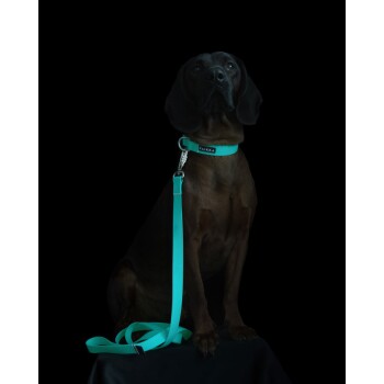 Ein brauner Hund sitzt auf einer schwarzen Oberfläche, trägt ein türkisfarbenes Halsband mit dem Namen 'PAIKKA' und eine passende Leine, die daneben liegt.