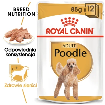 Opakowanie karmy dla psów Royal Canin Adult Poodle, z wizerunkiem pudla, tekstem '85g x 12' oraz informacjami o odżywianiu rasowym i zdrowiu sierści.