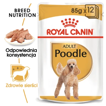 Opakowanie karmy dla psów Royal Canin Adult Poodle, z wizerunkiem pudla, tekstem '85g x 12' oraz informacjami o odżywianiu rasowym i zdrowiu sierści.