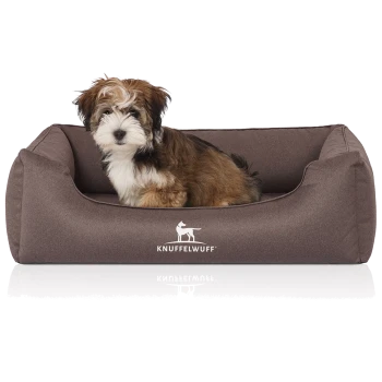 Flauschiger braun-weißer Welpe sitzt in einem braunen Hundebett mit KNUFFELWUFF-Logo