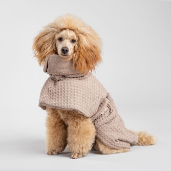Ein flauschiger Hund trägt einen stilvollen beigen gesteppte Mantel mit Kapuze und sitzt auf einem hellen Hintergrund.