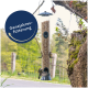 Ein mit Samen gefüllter Vogelhäuschen hängt von einem Baum mit zwei kleinen Vögeln in der Nähe, mit dem Text "Ganzjahresfütterung" in einem kreisförmigen Design.
