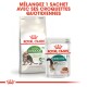 L'emballage Royal Canin montre de la nourriture sèche pour chats "Active Life Outdoor 7+" et de la nourriture humide "Instinctive 7+", suggérant un mélange pour l'alimentation quotidienne.