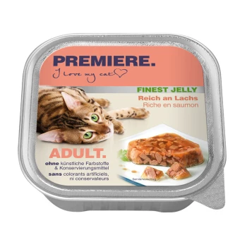 Verpackung für Katzenfutter mit einer verspielten getigerten Katze, beschriftet mit "Premiere. Ich liebe meine Katze," mit "Finest Jelly" und "Reich an Lachs" deutlich angezeigt.