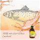 Illustration eines Lachs mit fließendem Öl, mit einer Flasche caVet Lachsöl, die mit '100% rein tierisches Lachsöl' beschriftet ist.