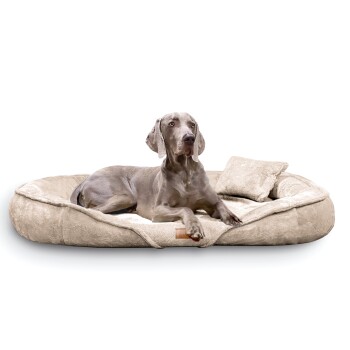 ® XENIA - Orthopädisches Hundebett / Hundesofa beige 1,45 m, 20 cm, 1,05 m