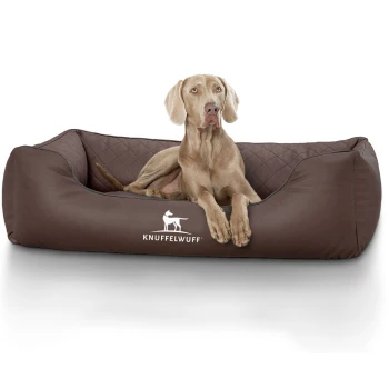 Orthopädisches Hundebett Madison aus laser-gestepptem Kunstleder braun XL Ein hellbrauner Hund liegt auf einem gemütlichen, dunkelbraunen Haustierbett mit einem gesteppten Design, mit dem Logo "KNUFFELWUFF."