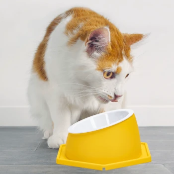Eine neugierige orange-weiße Katze lehnt sich zu einer hellgelben Futterschüssel mit weißem Innenraum, die auf einem grauen Boden steht.