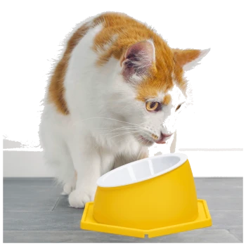 Eine neugierige orange-weiße Katze lehnt sich zu einer hellgelben Futterschüssel mit weißem Innenraum, die auf einem grauen Boden steht.