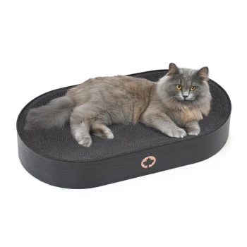 Kratzbrett Apollo schwarz Eine flauschige graue Katze mit orangefarbenen Augen, die auf einem schwarzen ovalen Katzenbett mit strukturierter Oberfläche entspannt.