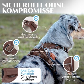 Ein Hund in einem braunen Geschirr im Freien, der Merkmale zeigt: "Sicherheit ohne Kompromisse," "Hochwertig," "Kein Verrutschen," "Anti-Zug-Funktion."