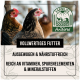 Bild von drei Hühnern mit einem "FARMLIFE AniForte"-Logo. Der Text hebt nahrhaftes, ausgewogenes Futter hervor, das reich an Vitaminen und Mineralien ist.