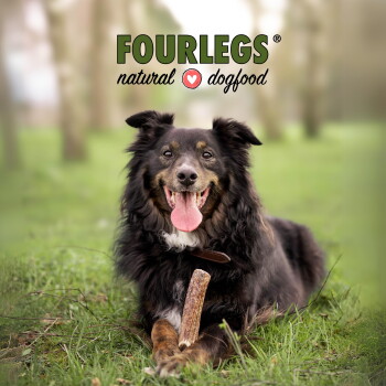 Schwarzer langhaariger Hund liegt im Gras mit einem Kauknochen, herausgestreckte Zunge; Hintergrundtext 'FOURLEGS natural dogfood' mit Herz.