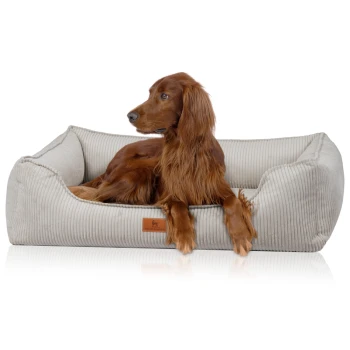 Ein brauner Irish Setter, der bequem in einem plüschigen, beigen Haustierbett mit strukturiertem Stoff und einem kleinen Lederetikett liegt.