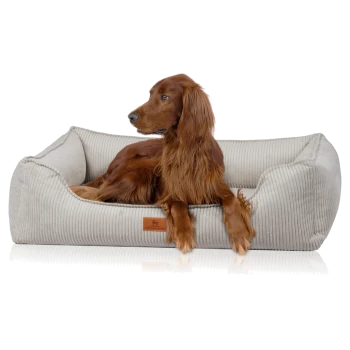 Ein brauner Irish Setter, der bequem in einem plüschigen, beigen Haustierbett mit strukturiertem Stoff und einem kleinen Lederetikett liegt.