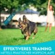Ein glücklicher Hund läuft auf Gras mit einer Trainingswurfleine in der Luft, mit dem Text "Effektiveres Training Mittels Praktischer Wurfschlaufe."