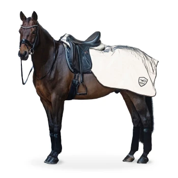 Ein braunes Pferd mit einem schwarzen Sattel und einer hellen Satteldecke, steht vor einem weißen Hintergrund.