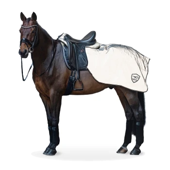 Ein braunes Pferd mit einem schwarzen Sattel und einer hellen Satteldecke, steht vor einem weißen Hintergrund.