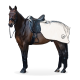Ein braunes Pferd mit einem schwarzen Sattel und einer hellen Satteldecke, steht vor einem weißen Hintergrund.