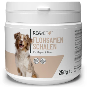 Behälter mit REAVET Flohsamen Schalen (Psylliumschalen) für Hunde, 250g, mit einem glücklichen Hund auf dem Etikett und Text in deutscher Sprache.