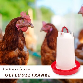 Braune Hühner mit einem weiß-roten beheizbaren Geflügeltränker; sichtbarer Text: "beheizbare GEFLÜGELTRÄNKE"