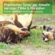 Praktisches Spray zur Abwehr lästiger Flöhe und Parasiten, mit einem verspielten Hund und einer Katze, die auf Gras liegen.