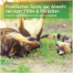 Praktisches Spray zur Abwehr lästiger Flöhe und Parasiten, mit einem verspielten Hund und einer Katze, die auf Gras liegen.