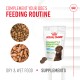 Image of Royal Canin puppy supplements: "Immunity & Digestion Chews" bag with dry and wet dog food. Text: "COMPLEMENT YOUR DOG'S FEEDING ROUTINE."