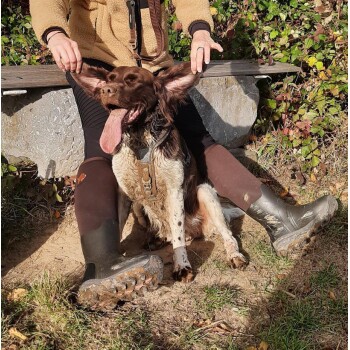 Glücklicher braun-weißer Hund mit herausgestreckter Zunge sitzt zwischen den Beinen einer Person auf einer Bank im Freien.