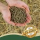 Hände halten braune Tierpellets über Stroh, goldenes Siegel mit der Aufschrift „Seit über 15 Jahren“ und „Best Quality“.