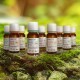 Bachblüten Globuli - Vet Toxx 10g