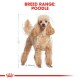 Poodle Adult in Sauce 12x85g 12x85 g