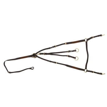 Ein schwarzes Leder-Hundegeschirr mit goldenen Metallringen und verstellbaren Riemen, entworfen für Komfort und Kontrolle.