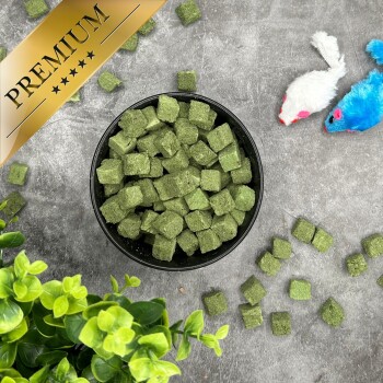 Schwarze Schale mit grünen Würfel-Leckerchen auf grauer Oberfläche, mit Spielzeugmäusen, künstlicher Pflanze und goldenem Banner mit der Aufschrift ‚PREMIUM‘.