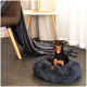 Ein kleiner schwarz-brauner Hund sitzt bequem in einem flauschigen grauen Haustierbett auf einem gefliesten Boden, mit einer gemütlichen Decke, die über einen Stuhl in der Nähe hängt.