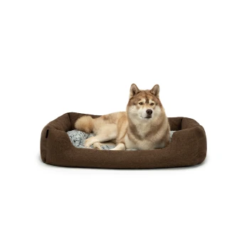 Ein gemütliches braunes Hundebett mit einem weichen grauen Innenraum, mit einem entspannten Hund, der bequem darin liegt.