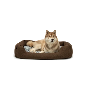 Ein gemütliches braunes Hundebett mit einem weichen grauen Innenraum, mit einem entspannten Hund, der bequem darin liegt.