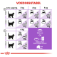 Kattenvoedingsschema met dagelijkse hoeveelheden brokjes op basis van gewicht (3-6 kg) en status, met opties voor "Alleen brokjes" of "Brokjes + Zakje".