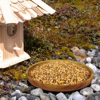 Ein hölzerner Vogelhaus neben einer Schüssel mit Vogelfutter auf steinigem Boden, mit einem kleinen braunen Vogel, der in der Nähe steht.