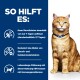 Orange-getigerte Katze mit blauem Halsband; blaues Feld 'SO HILFT ES:' erwähnt Auflösung von Struvitsteinen und Verringerung von Harnsteinen.