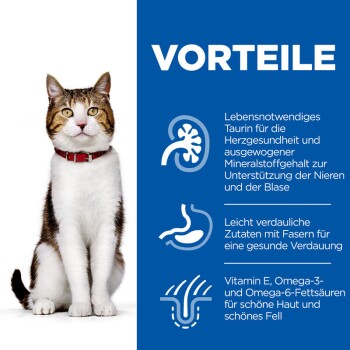 Eine getigerte Katze mit weißer Brust und rotem Halsband sitzt neben einem blauen Panel, das Vorteile für Herz, Verdauung und Hautgesundheit beschreibt.
