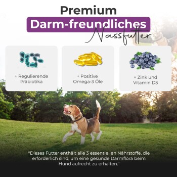Anzeige für Premium-Hundefutter mit einem verspielten Beagle im Freien, der gut verträgliche Zutaten wie Präbiotika und Omega-3-Öle zeigt.