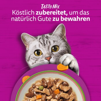 Grau getigerte Katze lugt über eine Schüssel Nassfutter auf violettem Hintergrund; sichtbarer Text: ‚TastyMix – Köstlich zubereitet‘