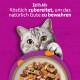 Grau getigerte Katze lugt über eine Schüssel Nassfutter auf violettem Hintergrund; sichtbarer Text: ‚TastyMix – Köstlich zubereitet‘