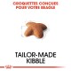 Croquettes conçues pour votre Beagle, avec une croquette en forme d'étoile, avec le texte "CROQUETTES SUR MESURE" affiché en évidence.
